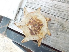 International IH grain drill planter seed drive sprocket
