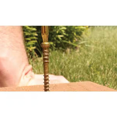 #8 X 2-1/2 In. Star Drive Composite Trim Head Screw (100-Per Pack) NEW