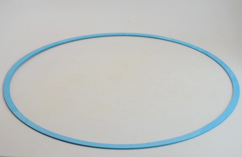 Mission 250 Series Casing Gasket 10399-46-1