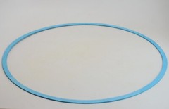 Mission 250 Series Casing Gasket 10399-46-1