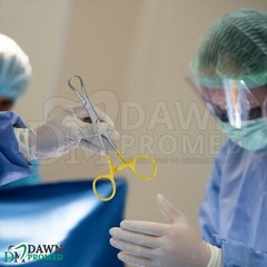 2 Pcs Bone Reduction Forceps 5.5″ & 8″ Curved Pointed Tip Gold Plated Instrument