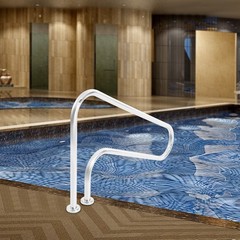 49.21*7.99*31.5in Silver 304 Stainless Steel Pool Handrail For In-ground Pools