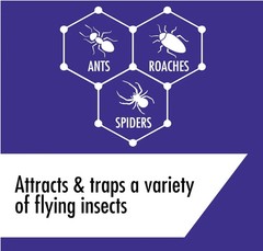 Stem Kills Ants, Roaches And Spiders: Plant-Based Active Ingredient Bug Spray