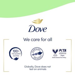 Dove Foaming Hand Wash 4 Count 10.1 Fl Oz (Pack of 4), Aloe and Eucalyptus