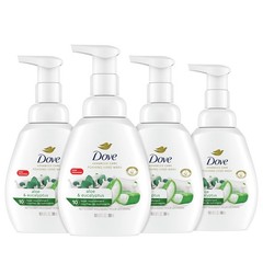 Dove Foaming Hand Wash 4 Count 10.1 Fl Oz (Pack of 4), Aloe and Eucalyptus