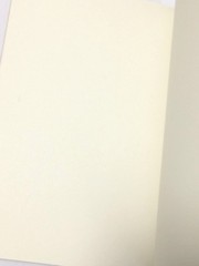 MUJI Blank beige Notebook A5 Unruled 30sheets 3books