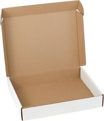 Single Pack 12x9x2 Inch Blank White Mailer Box – Perfect for Branding Needs