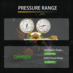 LX65 Medium Duty Oxygen Regulator Cga540,Forged Brass | Large Tank Gauge Cutting