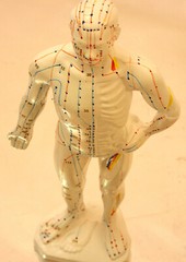 10″ human Chinese acupuncture model 26cm tall anatomical sculpture figurine New
