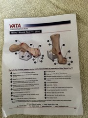 VATA Wilma Wound Foot Teaching Model