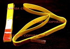 TWO (2x) EE2-902 x 4ft 2 Ply Polyester Web Lifting Sling 2″x4′ Lifting Tow Strap