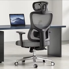 Ergonomic Mesh Office/Desk Chair w/ Adjustable Headrest & Lumbar, Gray/Black