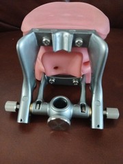 ModuPRO Dental Hygiene Plus MP-DH520_O ACADENTAL Typodont Dental Student Model