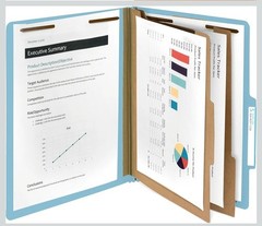 Blue Summit Supplies 30 Letter Size Light Blue Classification Folders, 2…