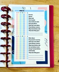 Daily Habits Personal Goals DASHBOARD for use with the TUL/Arc (8 disc) Planner