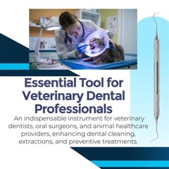 Standard prob/scalers small animals – explorer/measuring probe standard