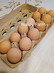 Silver Laced Wyandotte (12) 🐣 fertilized hatching eggs.Please read description.