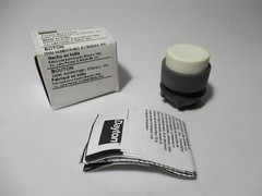 22mm Gray/White Plastic Momentary Extended Push Button Operator