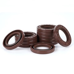 Oil Seal Metric Size Rotary Shaft Seal 22 to 26mm Inner diameter FKM Rubber 70