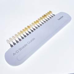 Ivoclar Vivadent Dental Shade Guide A-D 20 IPS or Natural Die ND1-9 Bleach Teeth