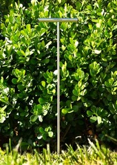 Varomorus Stainless Steel Soil Probe Rod, Locator, Gardening, Landscaping