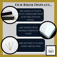 2 Pack of 12 x 16 x 1 1/4 Riker Display Cases Boxes for Collectibles Arrowheads