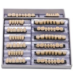 168Pcs Dental Acrylic Resin Denture A3#23 Shade Full Upper Lower False Teeth USA