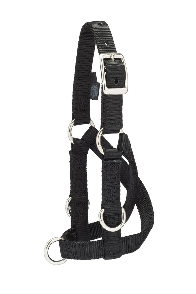 Weaver Leather Livestock Sheep & Goat Training Halter Small
