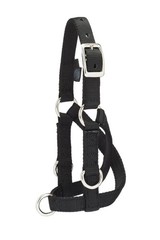 Weaver Leather Livestock Sheep & Goat Training Halter Small