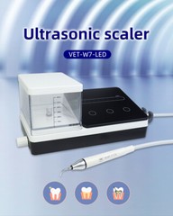 Dental Ultrasonic Piezo Scaler Scaling 10 Tip Fit EMS LED Handpiece 600ml Bottle