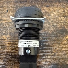 Auer Alarm Panel Mount Buzzer 12-24V AC/DC ~65dB (A) IP65