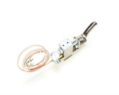 Frymaster Pilot Assembly .013 Itt Lp Gas 8102070 – Genuine OEM Replacement Part