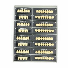Dental Resin Teeth Complete Denture False Tooth Synthetic Polymer Teeth 112pcs