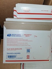 United States Postal Service Flat Rate Envelope EP14F Lot of 300