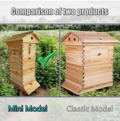 Auto Shed Full Set 10 X Beehive Honey Hive Frame +Mini Beekeeping Brood Box