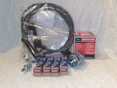 FORD LRG-425 GENIE JLG Snorkel Tune-up Kit Plugs Wires PCV Oil Fuel Filter 2.5L