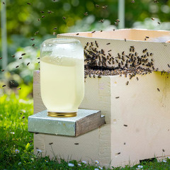 Bee Feeder Lids for Mason Jar- 8Pcs Metal Bee Feeders Entrance Beehive Lid- Beeh