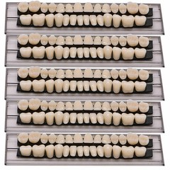 28 Pcs/Set Dental A2 A3 Acrylic Resin Denture Shade Full Set False Teeth #23