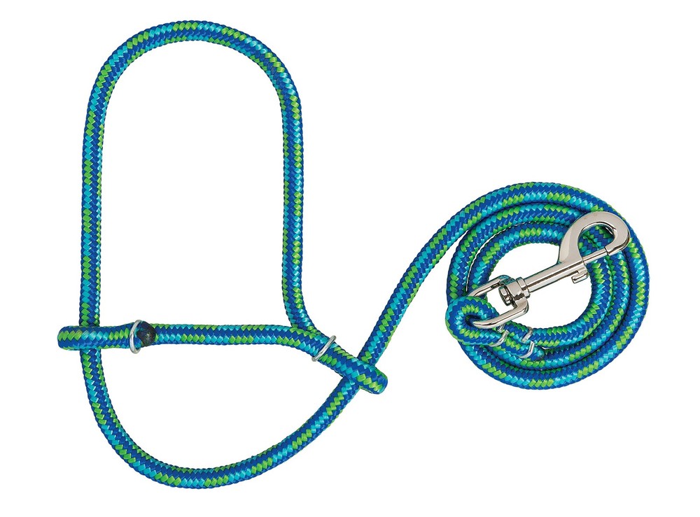Weaver Leather Livestock Poly Rope Sheep Halter with Snap, Lime/Hurricane Blu…
