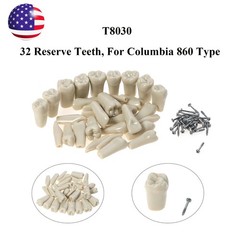 US Columbia 860 Type Dentoform Dental Typodont Model with 32Pcs Removable Teeth