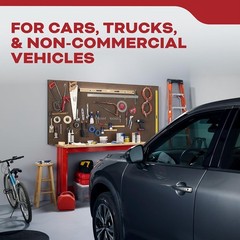Fire Extinguisher for Vehicles Cars Trucks Single-Use 5BC ‎3.2 pounds