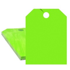 Versa-Tags Car Mirror Hang Tags Blank Jumbo Signs 50 Pack 8.5” x 50, Green