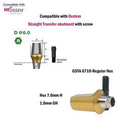 Titanium Straight Cemented Abutment D4.5/5.0/6.0 For Osstem Hiossen TS Regular