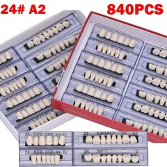 840Pcs Dental Acrylic Resin Denture 24# A2 Full Set Teeth Upper Lower Shade US