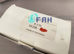 1pc GE B2-SL new Imported Straight Probe