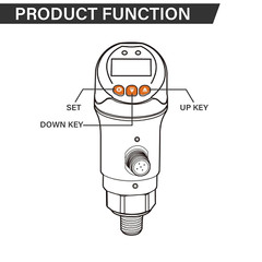 Digital Pressure Switch 0-6000 PSI, OLED Screen, Dual Alarm, 304 SS