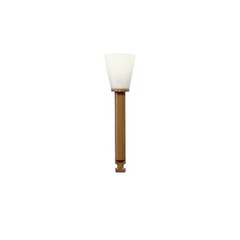 Enhance Finishing Cups 30 cups dental finishing points