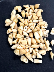 100 LOOSE TEETH DIFFERENT SIZES AND SHADES DENTURE REPAIR: CRAFT: HOBBIE