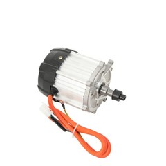 1000W DC 60V Electric Tricycle Brushless Motor High-Speed Center Chain Motor