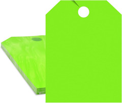 Versa-Tags Fluorescent Green Blank Car Mirror Hang Tags, 50-Pack | 8.5″ X 11.5″